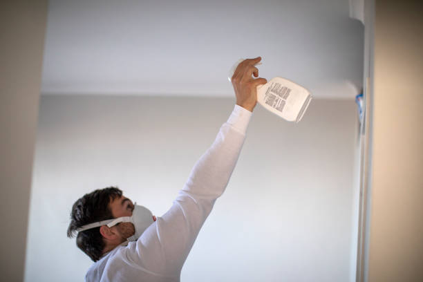 Best Basement Mold Remediation in Alliance, NE